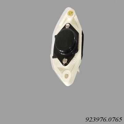 Kalmar Reach Stacker 923976.0765 Regulator for Volvo Tad720ve Engine