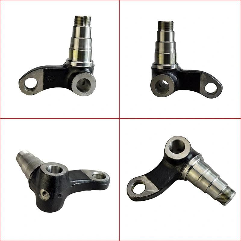 Forklift Parts Steering Knuckle for 30r/N/a/J, N163-220025-000, N163-220025-001