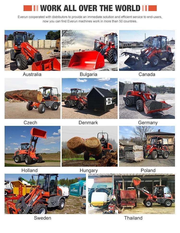 2.5t Erdf25 Diesel Forklift Everun Mini Forklift Euro5 EPA4 Small Forklift Warehouse Loader with CE