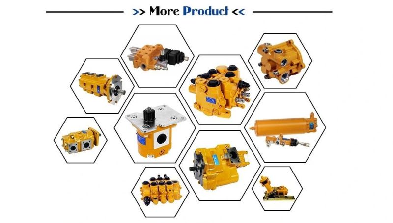 Forklift Hydraulic Gear Pump, Fuel Pump Chinese Forklift Brands