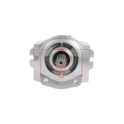 Forklift Parts Hydraulic Pump and Gear Pump Used for Heli@5t with OEM Cbk-G432-Af/R