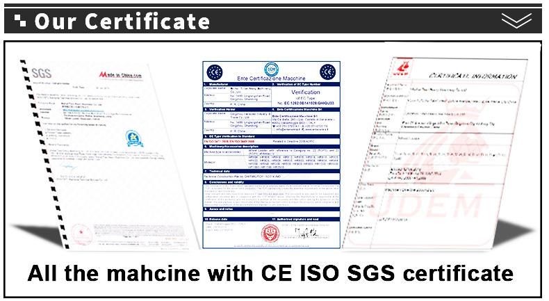 Cheap Price China Engine Manual 3ton Diesel Forklift