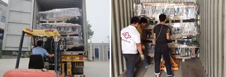 Stainless Steel Forklift Hand Hydraulic Pallet Truck for Warehouse