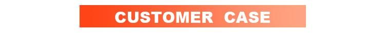 1.5-10 New Tder 1.5 Gasoline 7 Ton LPG Forklift Fg15, Fg25, Fg30, Fg35, Fg40, Fg50, Fg60, Fg70, Fg80