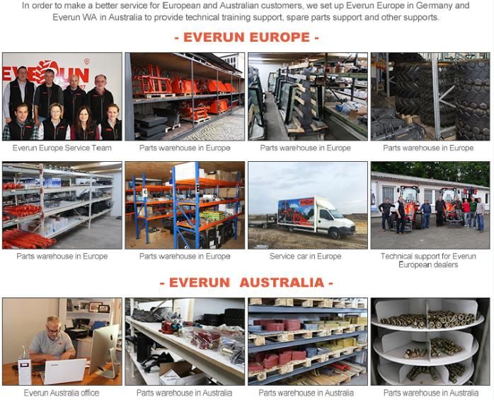 Everun Forklift Equipment Erfb20 Lead Acid -Lithium Battery Support Electric Forklift